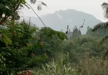 Sangat bagus dikawasan sejuk puncak