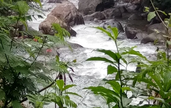 Sangat bagus dikawasan sejuk puncak