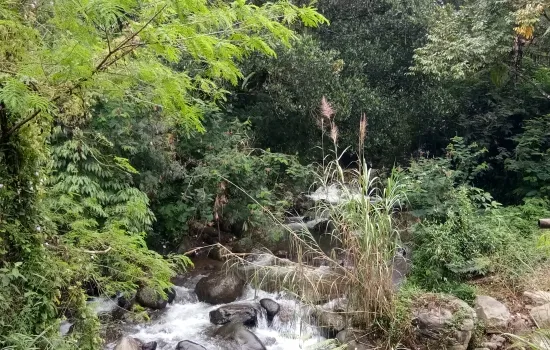 Sangat bagus dikawasan sejuk puncak